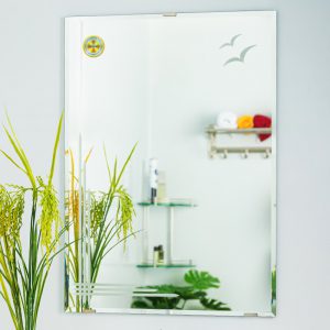 Gương Treo Phòng Tắm Chim Hải Âu